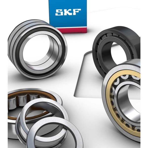 Cuscinetti a rulli cilindrici SKF