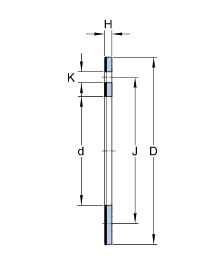 RALLE PTFE SKF