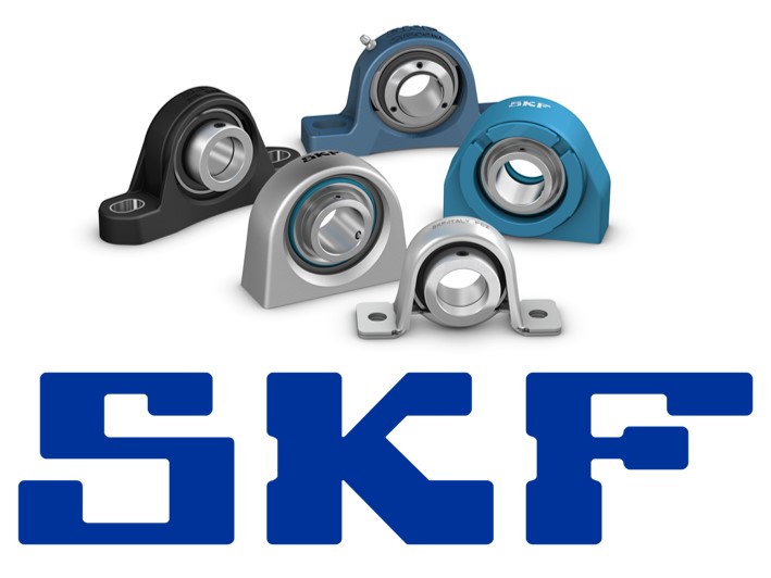 Supporti SKF