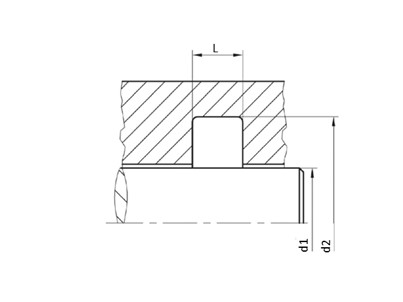 GUARNIZ PER STELO DOPPIO EFFETTO PTFE+OR