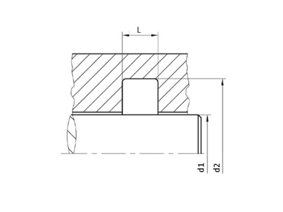GUARNIZ PER STELO SEMPLICE EFFET PTFE+OR