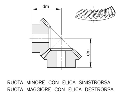 Ruote dentate coniche spir-Rapporto 1:1