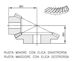 Ruote dentate coniche spir-Rapporto 1:2