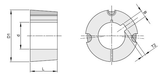 Bussola 2517