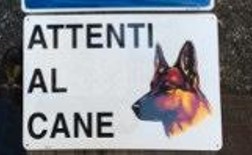 ATTENTI AL CANE
